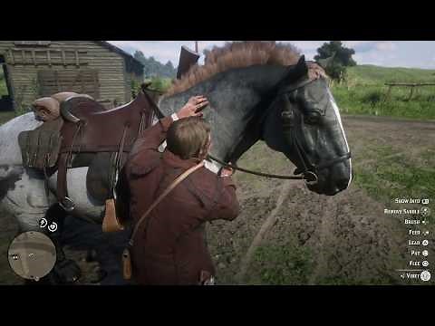 Red Dead Redemption 2 Get Lock Breaker