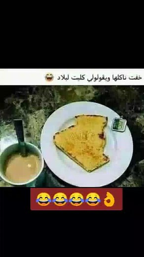 Casimir Casimir on Reels