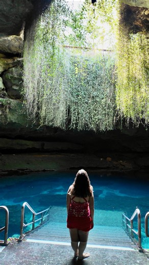 RV Travel | Full Time RV Living - Scott & Van on Instagram: "Is this place even real?😱 That’s exactly how I felt walking down the stairs into Devil’s Den. This 33 million year old cave in Williston, FL is something I had seen photos of, but couldn’t believe how beautiful it was in person. The moss hanging from the cave opening with the light streaming down, almost brought me to tears. 😭 The clear natural spring is full of fish and turtles. You can snorkel or dive to explore the cave waters. 🤿