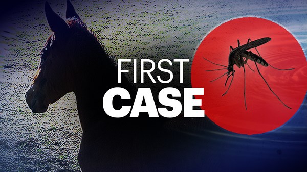 CT confirms first case of Eastern Equine Encephalitis for 2024 in a horse in Fairfield County