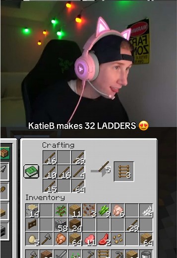 KatieB's Minecraft Adventure: Crafting 32 Ladders