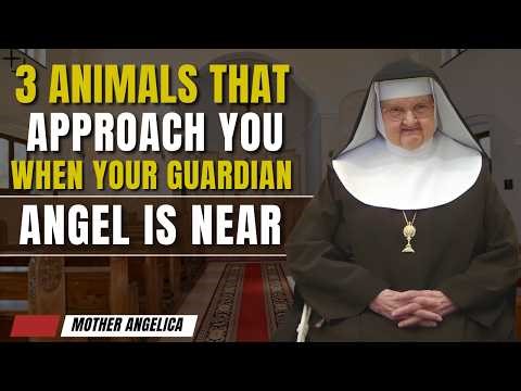 When These 3 Animals Come Close, Your Guardian Angel May Be Visiting You