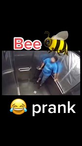 Bee Prank haha 😂 | Keulisyuna.com
