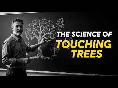 Trees Know You're Touching Them—Here's What Happens Next