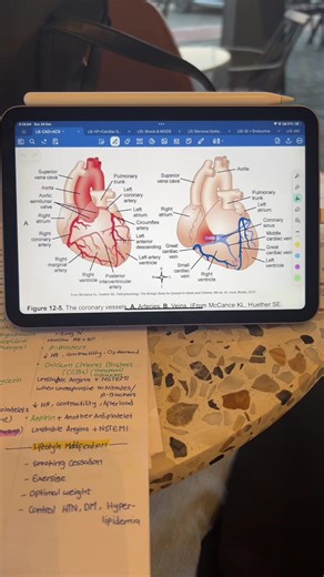 Understanding Cardiology: Final Critical Insights