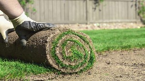 How To Choose The Best Type Of Lawn Soil For Your Garden