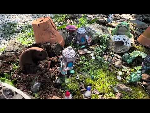 Land Development Woes for Toad 🐸 