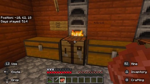 Minecraft with my gang