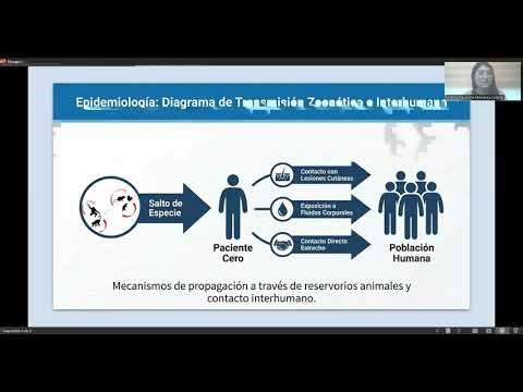 Poxvirus🦠, Estructura, replicación, epidemiología, relevancia clínica y diagnóstico de laboratorio