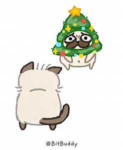 Omg hilarious 🤣 tt:bitbuddy | Winston The Pug