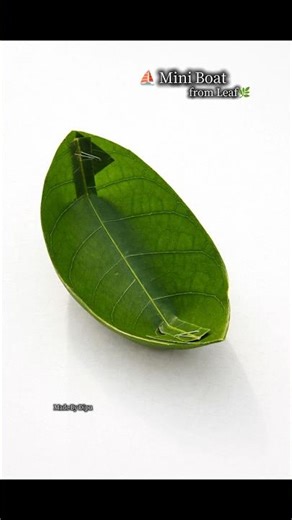 Amazing Leaf Boat Making 🌿⛵ | Easy DIY Craft with Mango Leaf🌿 #shorts #diy #boat #leafboat