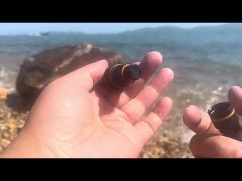 TIGERSHARK QuickArm | Modular Underwater Camera Arm Field Demo