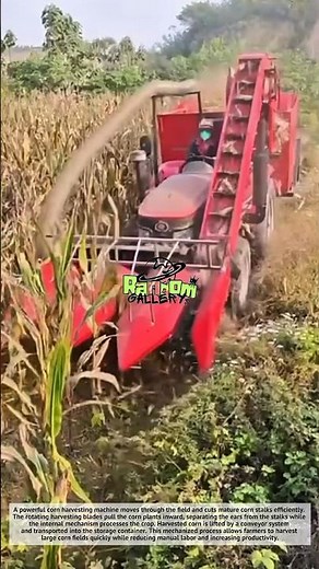 Amazing, Incredible Corn Harvesting Machine Process – Super Fast Farm Technology!