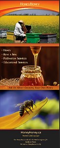 Ontario HoneyBee Rescue Services-Golden Horseshoe - HoneyHoney