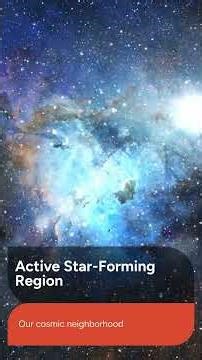 Protostars and Stellar Evolution: The Orion Molecular Cloud