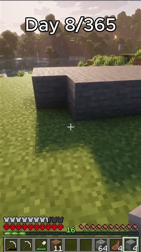 Day 8 of Placing a Stone block everyday #minecraft #shorts