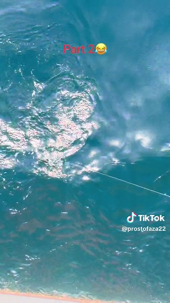 Seafarer's Life: Women at Sea Experience | Marine Navigation & Voyage