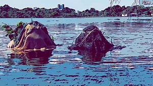 1.2K views · 28 reactions |  Join UCP Group's New Urban Warfare...