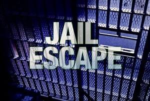 Woman attempts jail escape through ceiling - WBBJ TV