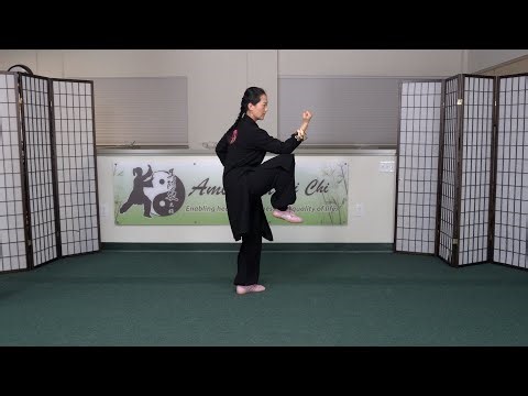 Highlights from Chen-Style Tai Chi 36 Form - Forms 23-26 | 陳式太極拳三十六式 第23-26式 教學