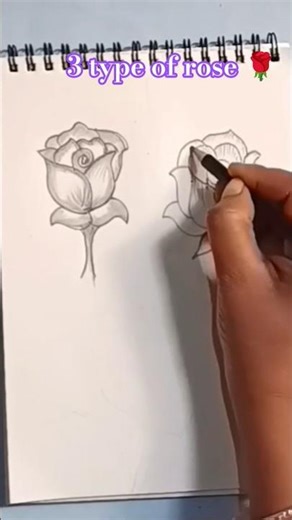 3 types of 🌹 Rose 🌹 easy for beginners 🎨💫 #youtubeshorts #shorts #art #youtuberslife #youtuberlife