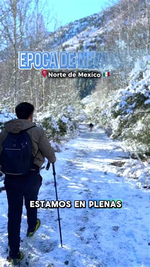 Nevadas Espectaculares en Arteaga Coahuila