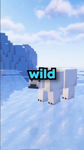 Best Public Lifesteal SMP for 2026 (IP: straindez.net) (Java + Bedrock + Cracked)