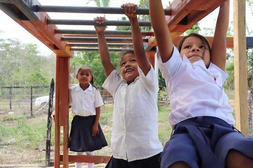 Guía y actividades para aplicar DUA en la educación inicial y preescolar