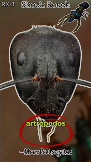 Shock Roach #bestiario #halflife #videojuegos #halflife3 #opposingforce