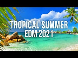 Tropical Summer EDM Mix 2021
