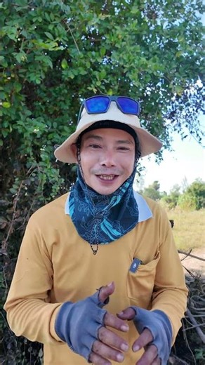 The high-pitched sound is unpleasant to listen to.