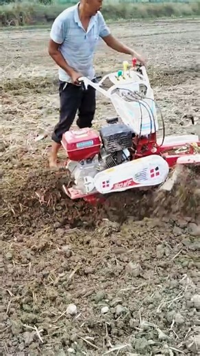 4.6K views · 11 reactions | 85/ Next Level Farming Hacks That Actually Work!! #naturalfarm #reels #agriculture | Natural Farm Kirirom | Facebook