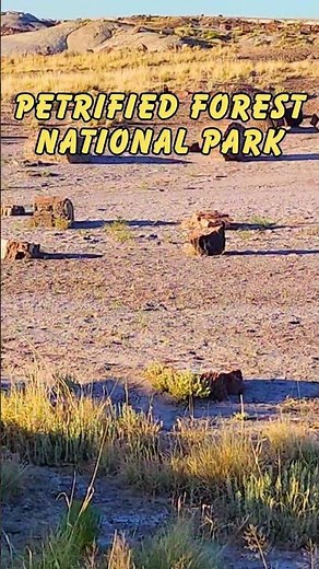 Discover the Painted Desert at the Petrified Forest National Park