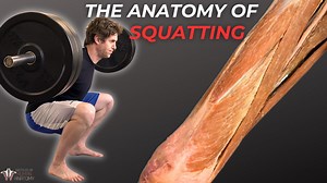 Functional fitness: The daily squat