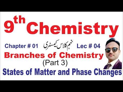 Class 9 Chemistry Chapter 1 |Branches of Chemistry (Polymer, Geochemistry,Medicinal, Astrochemistry)