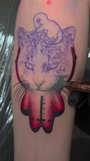 Ｄｏｃｔｏｒ ｐａｉｎ on Instagram: "I just did a small tattoo for a girl, a realistic colored cat that she loves.. and it was her first tattoo. She was stressed but it didn't hurt as much as she expected. Tattoos don't hurt) #tattooed #tattoo #warsawtattoo"