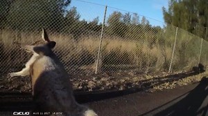 The World's only HD bike camera and safety light. Front and rear. | Cycliq