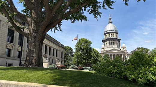 Illinois General Assembly returns as local lawmakers outline priorities