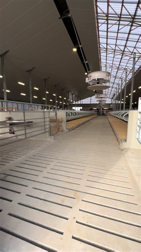 Nouvelle étable avec robots en Hainaut