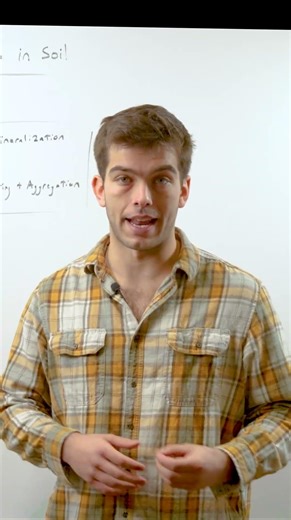 Arthropods in your Soil