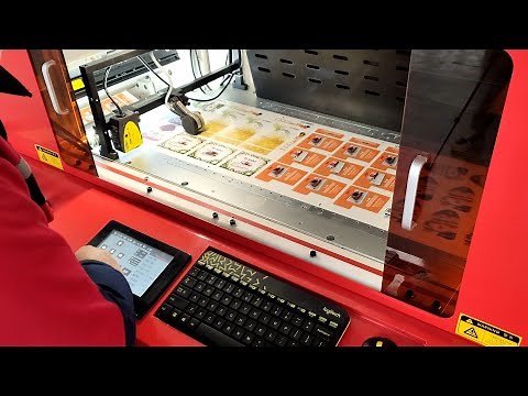 Label Laser Die Cutting Machine - Double Head Laser Converting LC350