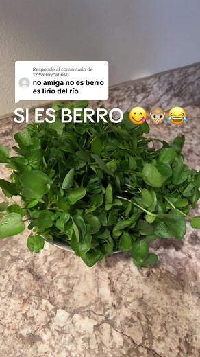 ¿Cómo identificar y disfrutar del berro?