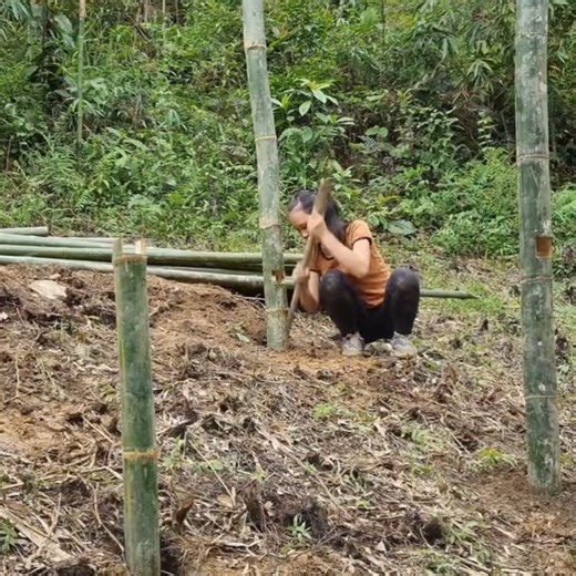 How to make a Bamboo House for Chickens bushcraft & survival, asmr, diy house | Single Mom | Facebook