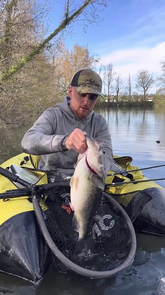 Café brioche ☕️🍞 quotidien d’un artiste #blackbassfishing #blackbass #nokill #tiktokfishing #giantbass