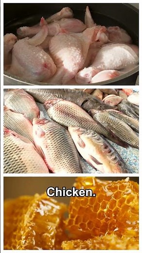 Food Materials & Sources | Plant & Animal Products Explained | #Shorts | Power Learn Senior