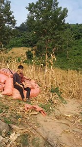 Khawv koob #vfx #edit #hmoob | Tub Thaiv Vfx | Facebook