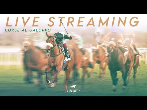 IPPODROMO CAPANNELLE CORSE AL GALOPPO 14 SETTEMBRE 2025