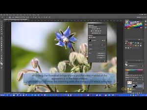 Adobe Photoshop - Tutorial 19 - Advanced Selections