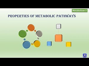 3: Properties of Metabolic Pathways | Metabolism-3| Biochemistry| N'JOY Biochemistry