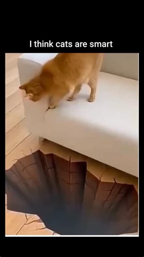 smart_.girl_07 on Instagram: "😂😂.."